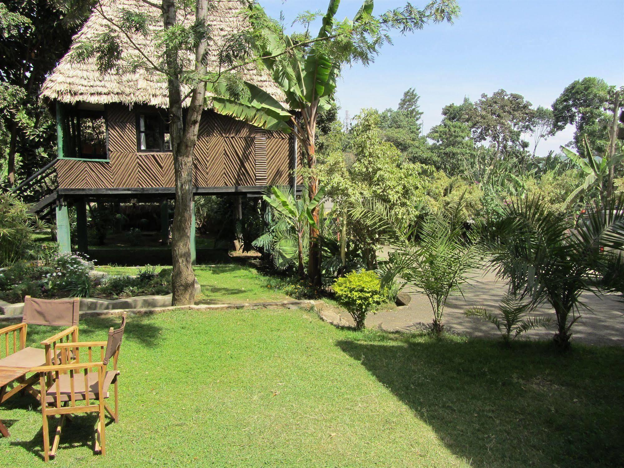 L Oasis Lodge And Restaurant Arusha Exterior photo